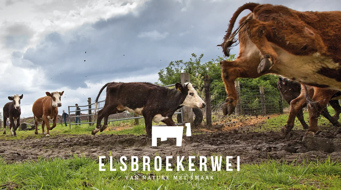 Elsbroekerwei logo + foto