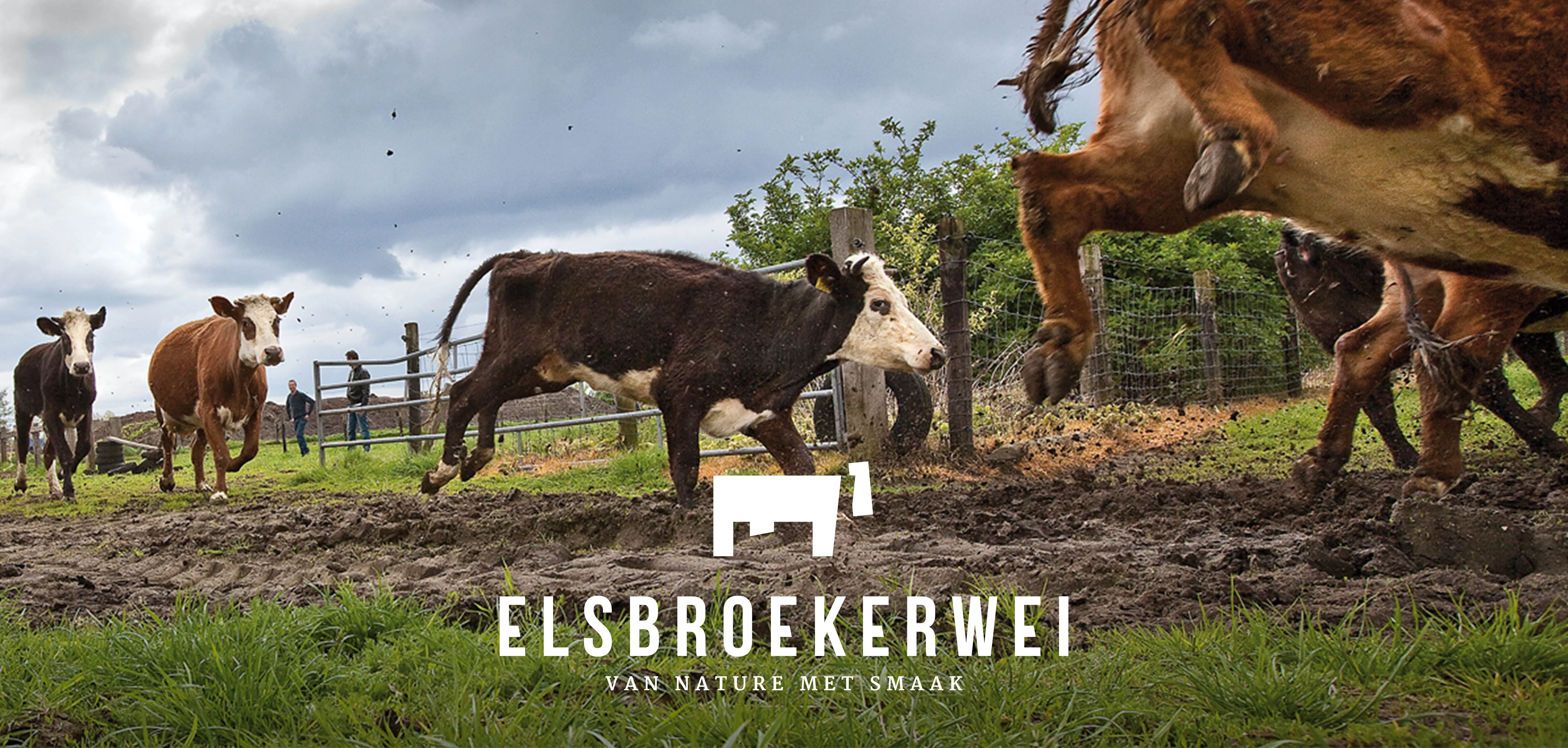 Elsbroekerwei logo