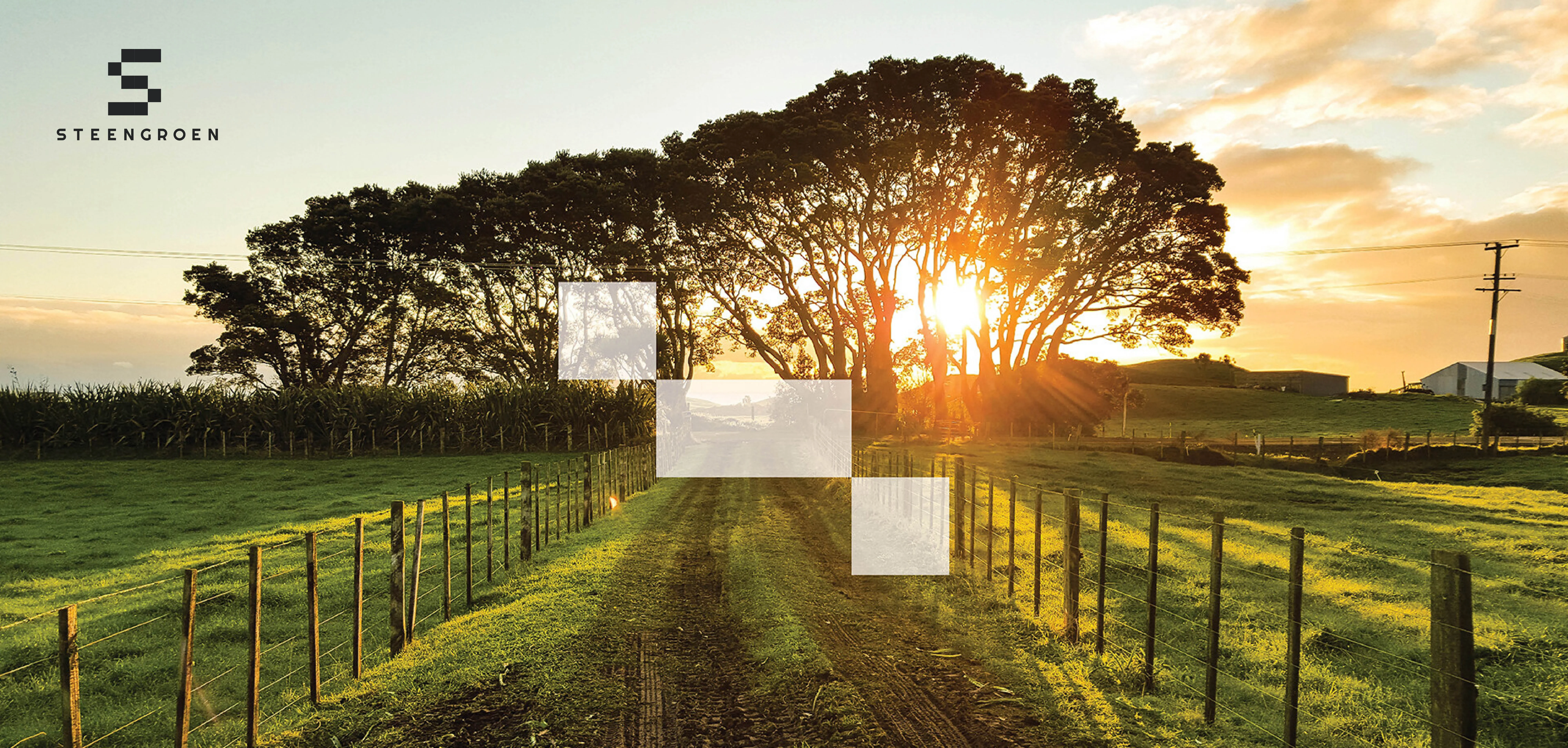 Steengroen fotografie